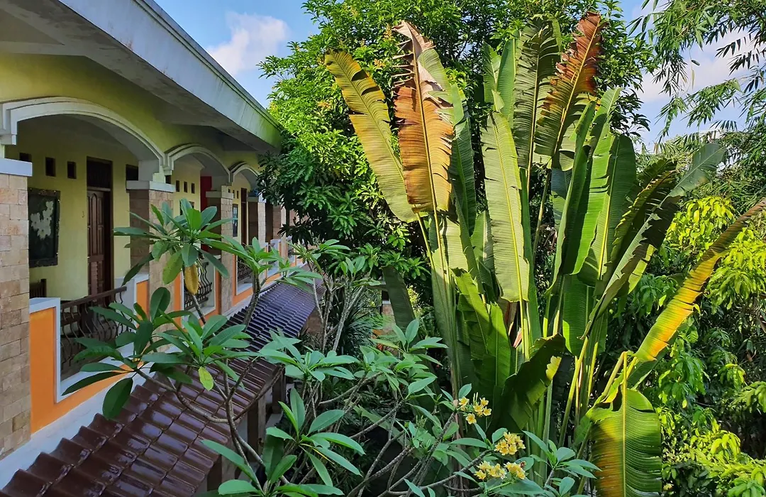 Villa Alicia-1