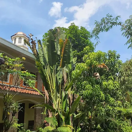 Villa Alicia-2